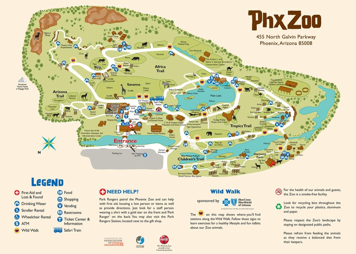 kart zoo Финикса
